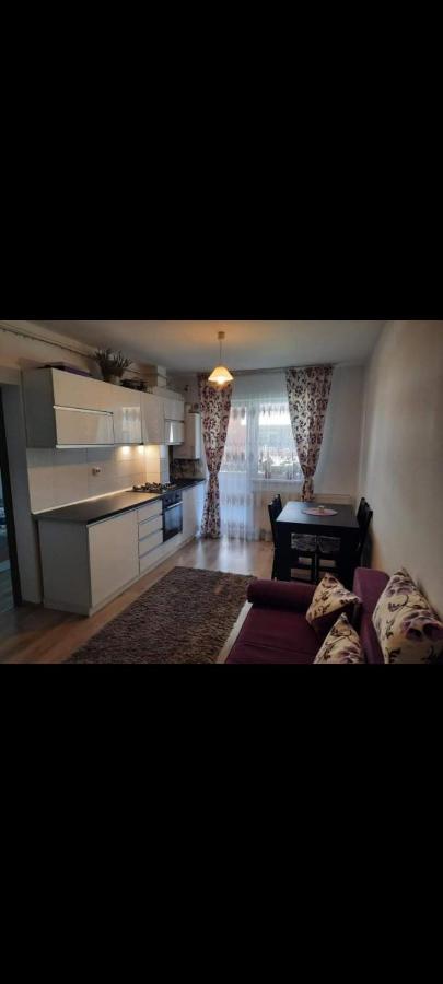 דירות בראשוב Diana Apartament מראה חיצוני תמונה